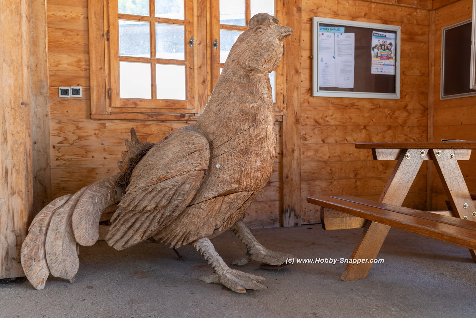 Photo Image Of: A big wooden chicken