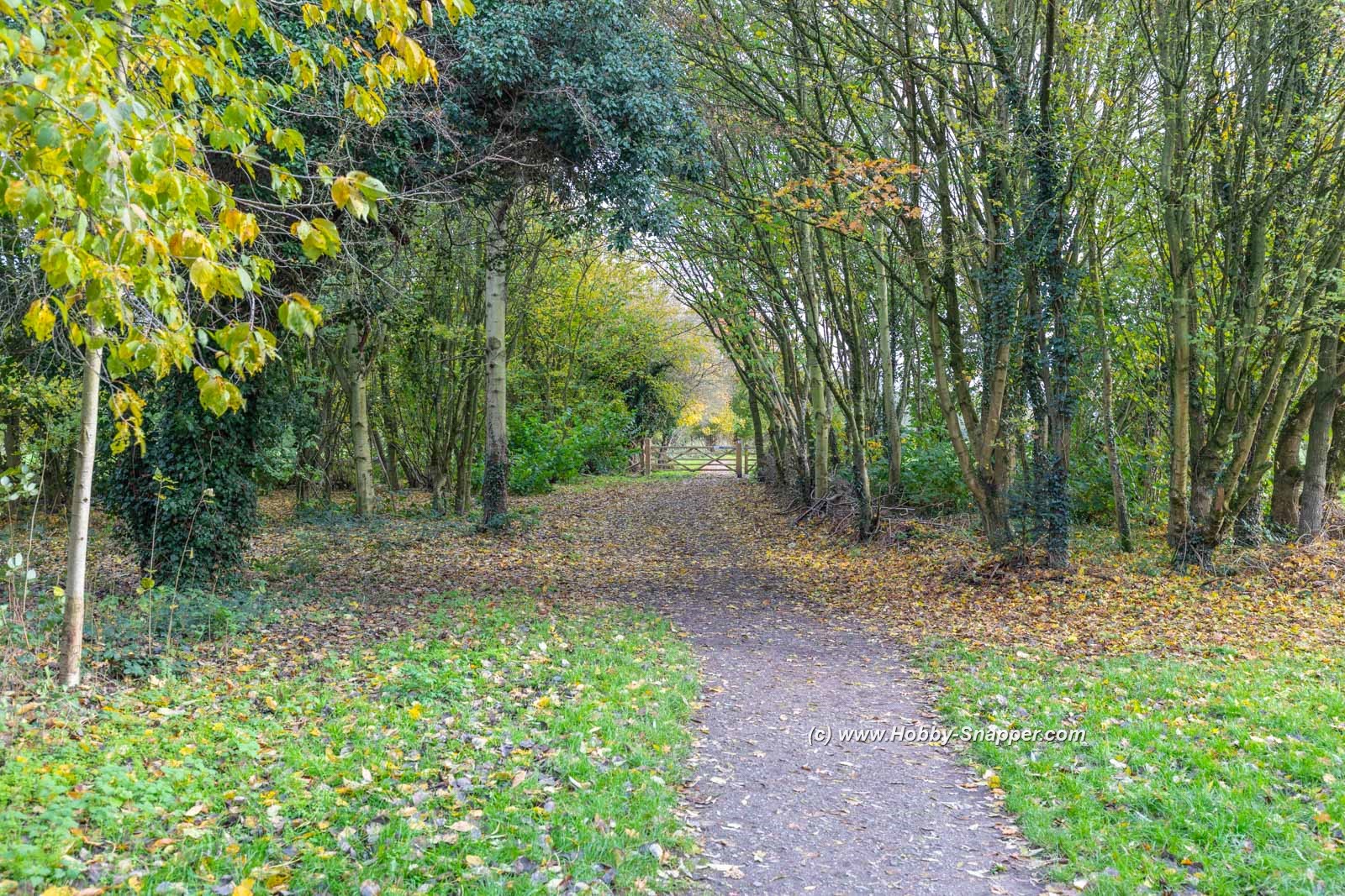 Photo Image Of: A very autumnal day