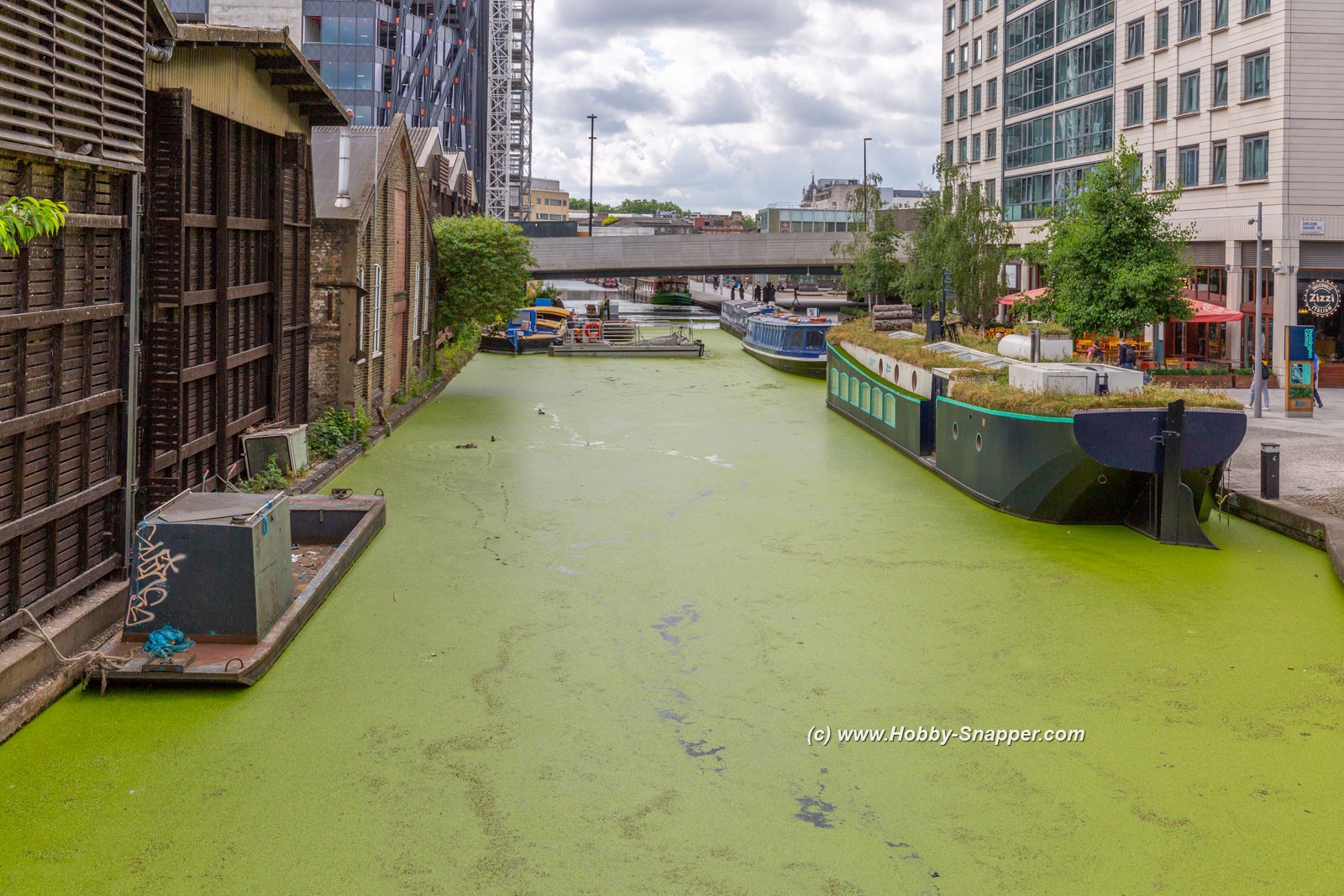 Photo Image Of: Green Growth on the canal