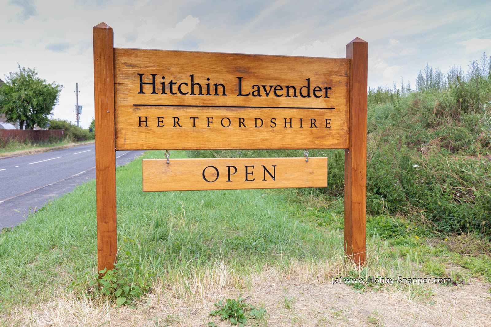 Photo Image Of: Hitchin Lavender