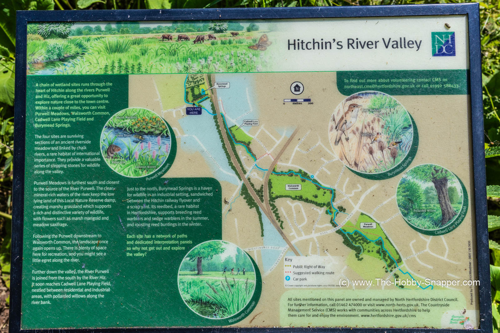 Hitchin River Valley - Burymeads