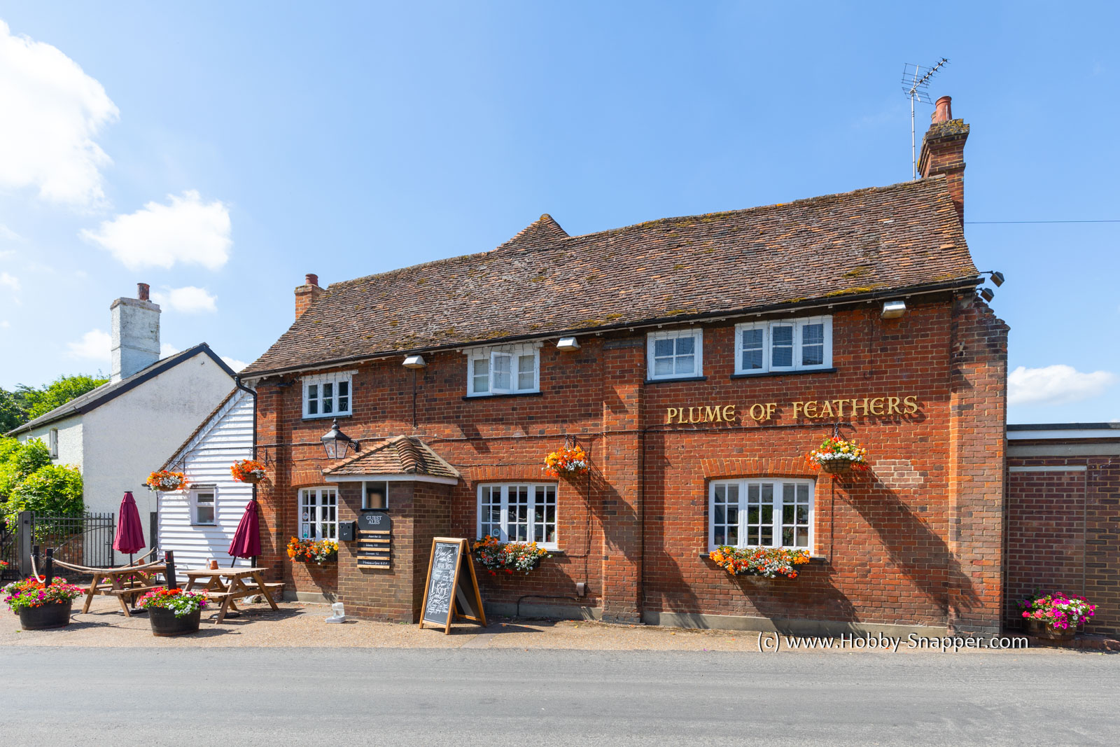 Photo Image Of: The Plume of Feathers