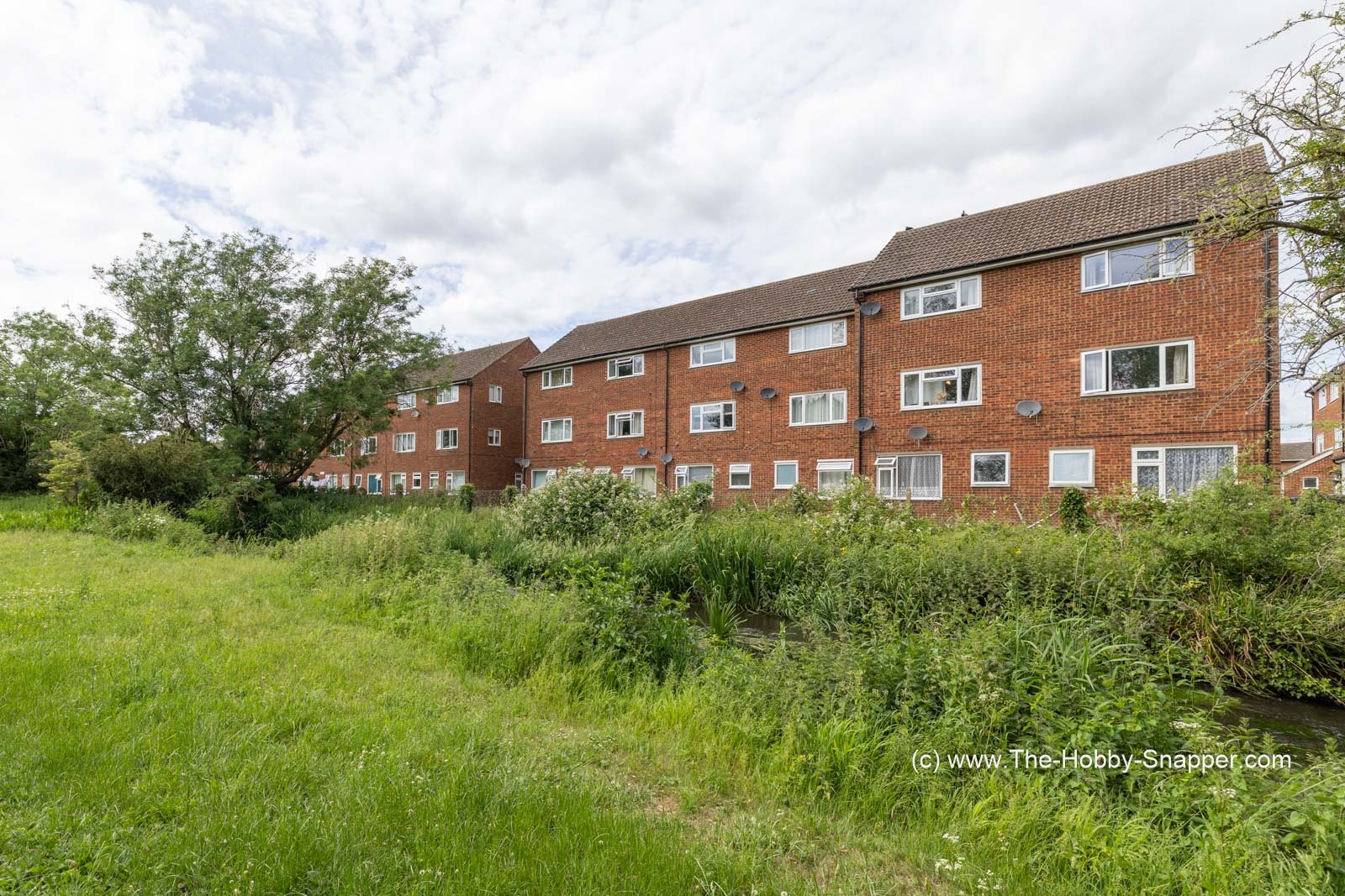 Ickneild Close - rear