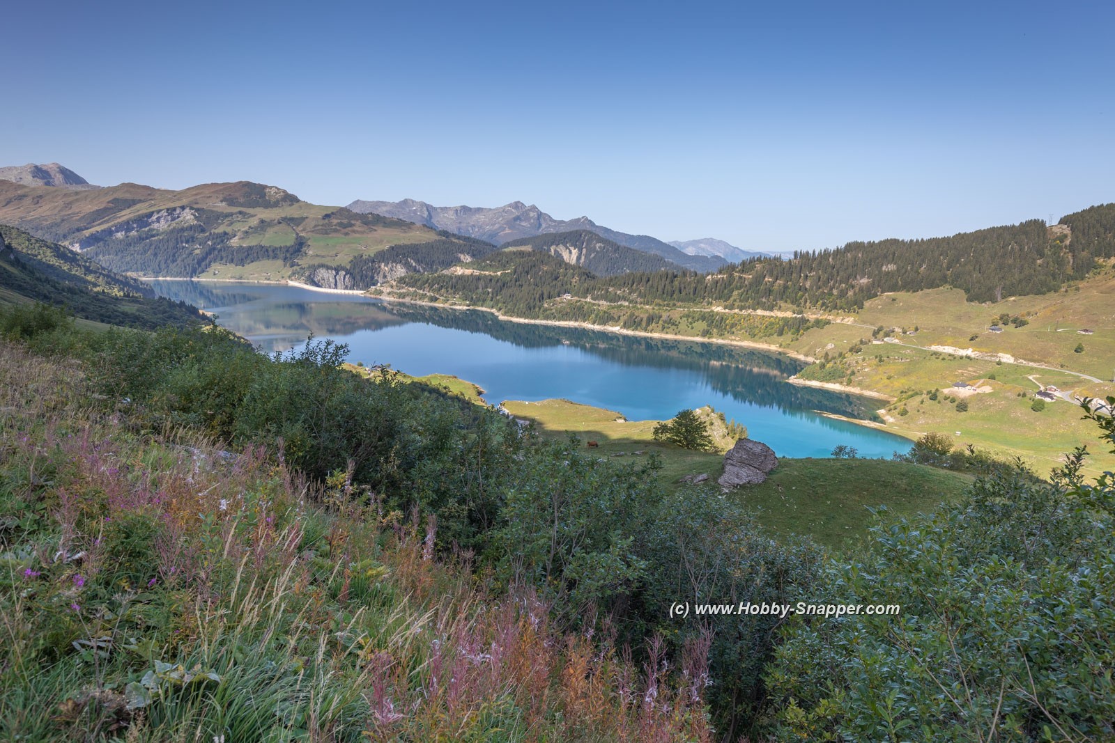 Photo Image Of: Lac Roseland