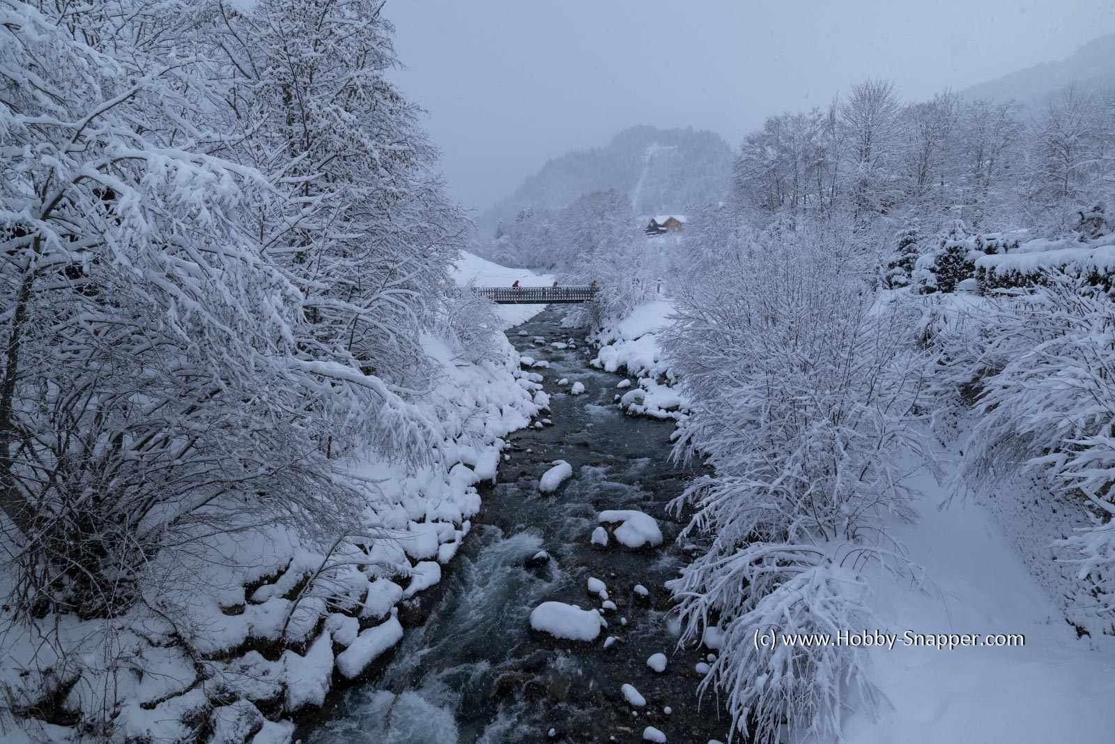 Photo Image Of: A good drop of snow in the village over night