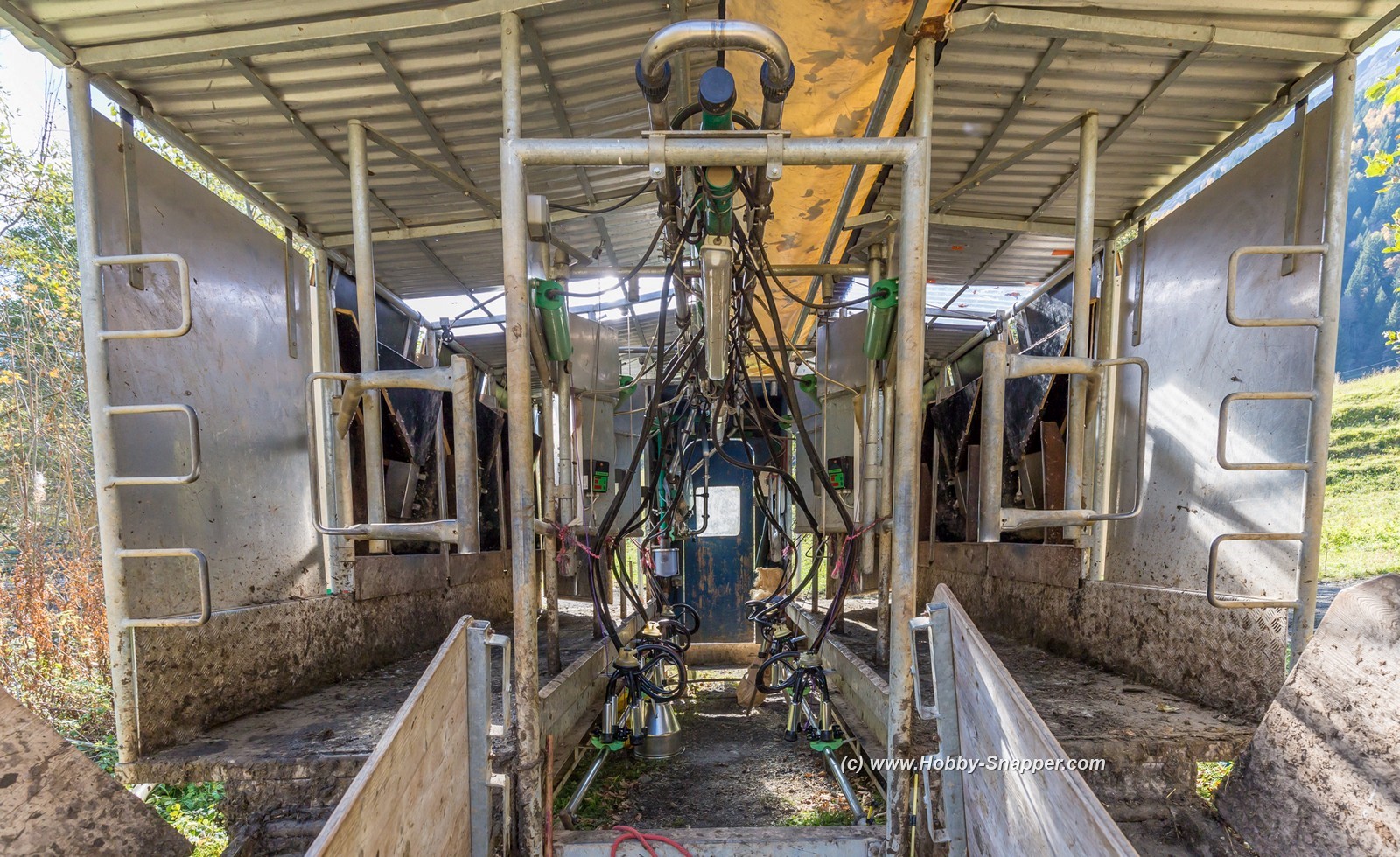 Photo Image Of: A mobile milking parlour