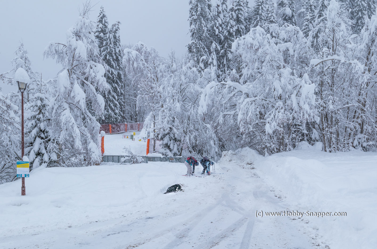 Photo Image Of: A pair of randonee skiers enjoying the fresh snow
