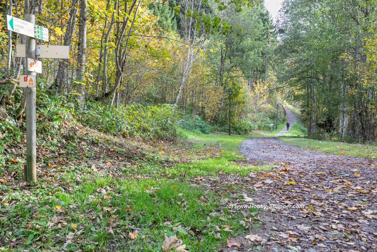 Photo Image Of: Autumn is here