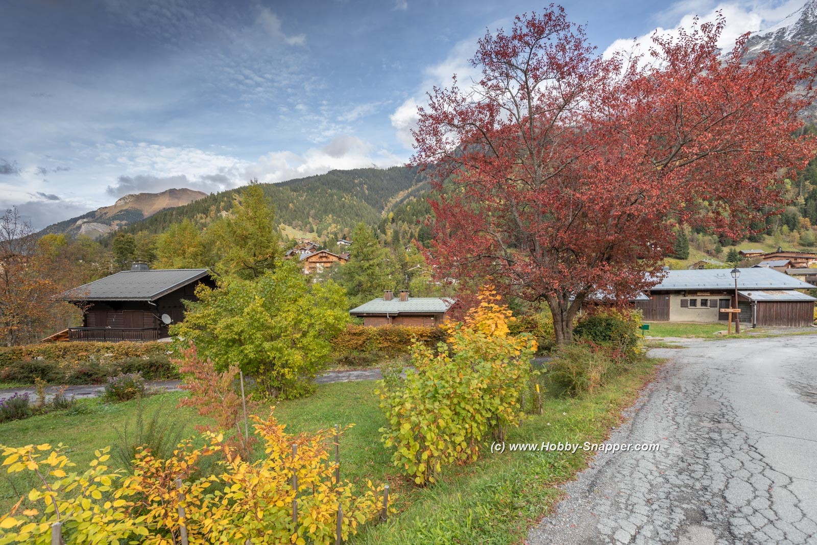Photo Image Of: Autumn is here