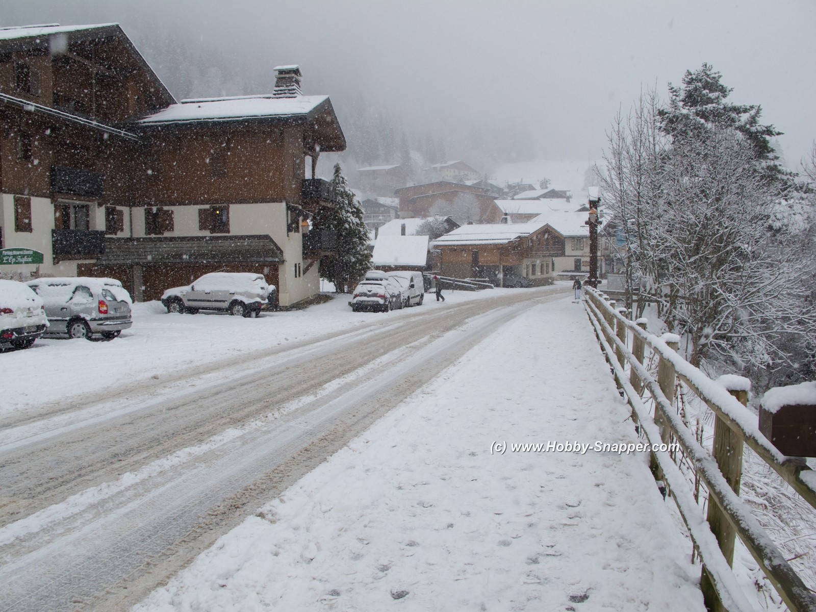 Photo Image Of: February Snow