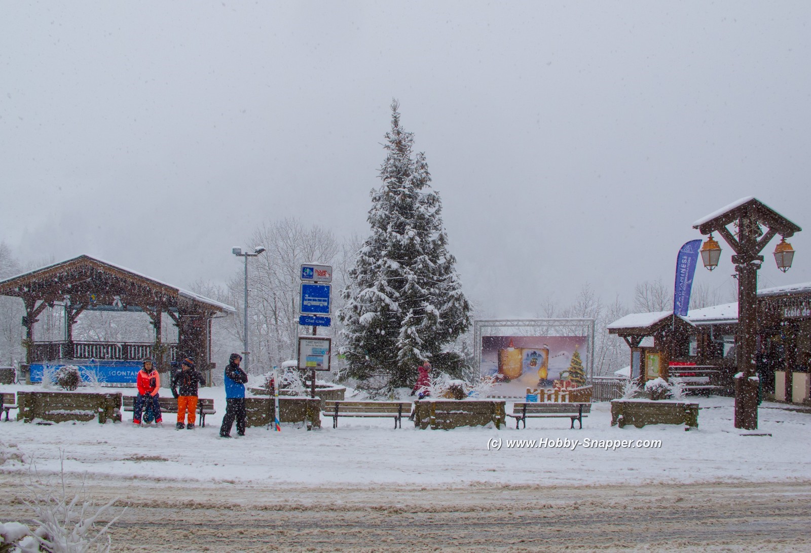 Photo Image Of: February Snow