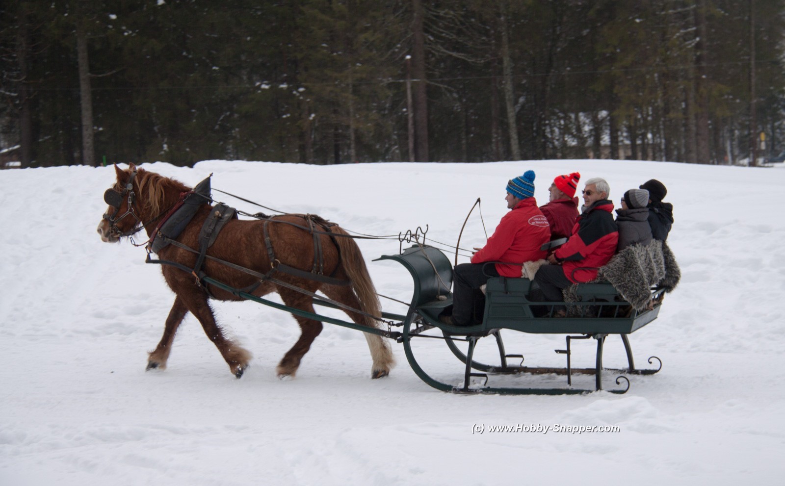 Photo Image Of: Horse and Sleigh