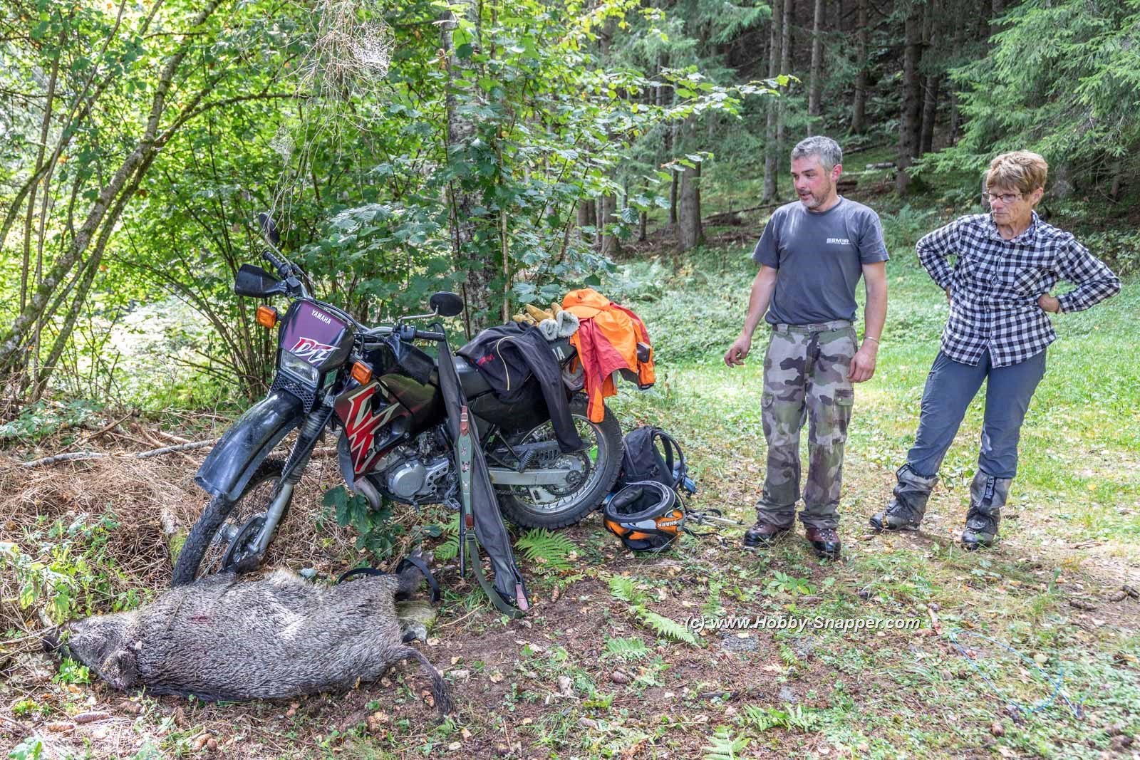 Photo Image Of: Hunting in the mountains