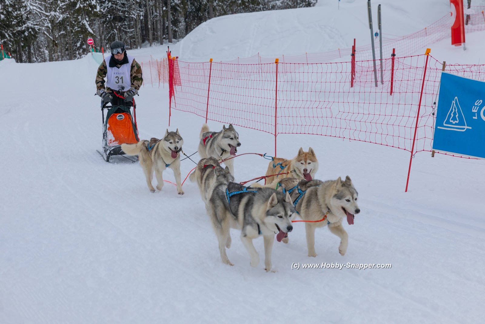 Photo Image Of: Husky Racing