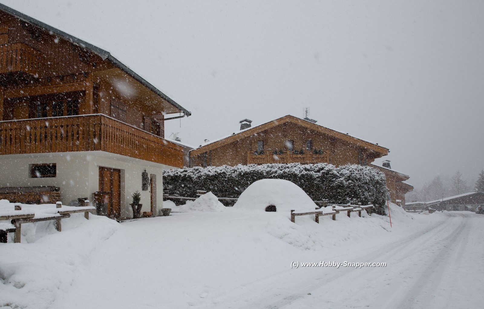 Photo Image Of: Jean's Igloo