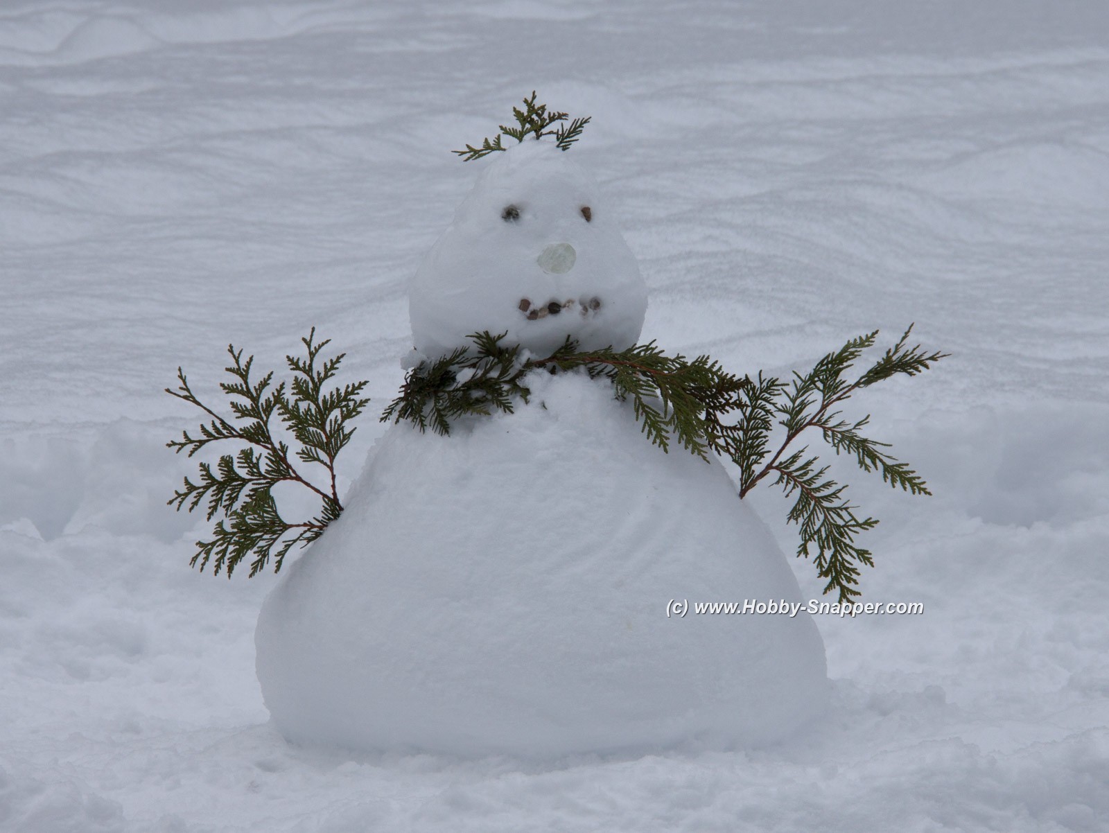 Photo Image Of: 'Little Snowman'