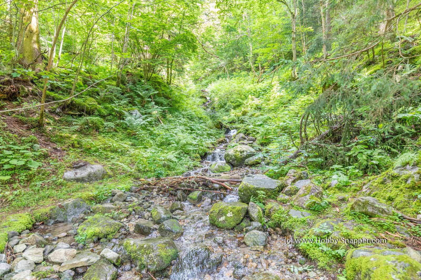 Photo Image Of: Little mountain stream