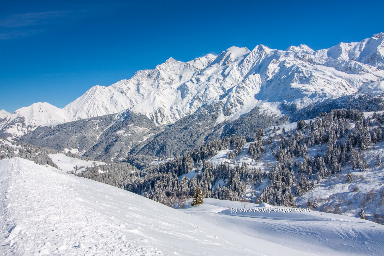 Photo Image Of: Looking towards Mont Blanc