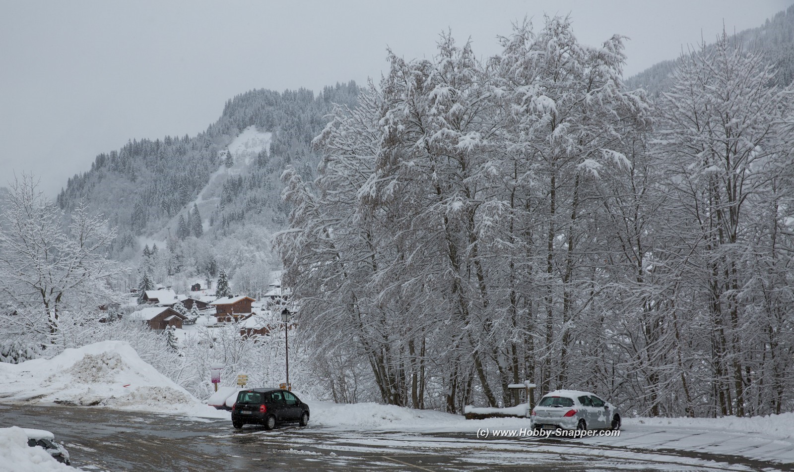 Photo Image Of: March Snow