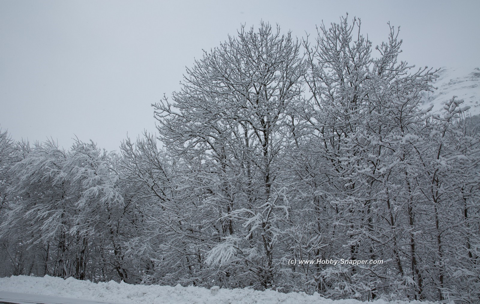 Photo Image Of: March Snow