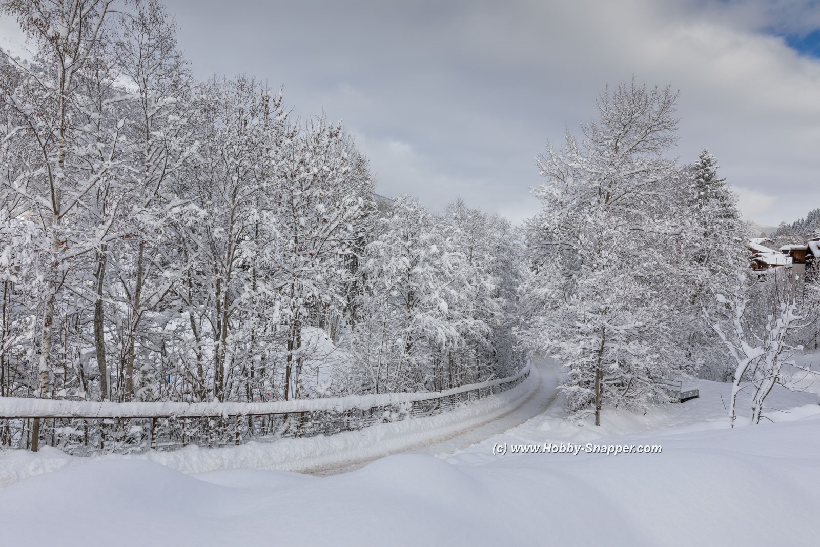 Photo Image Of: Plenty of snow !!
