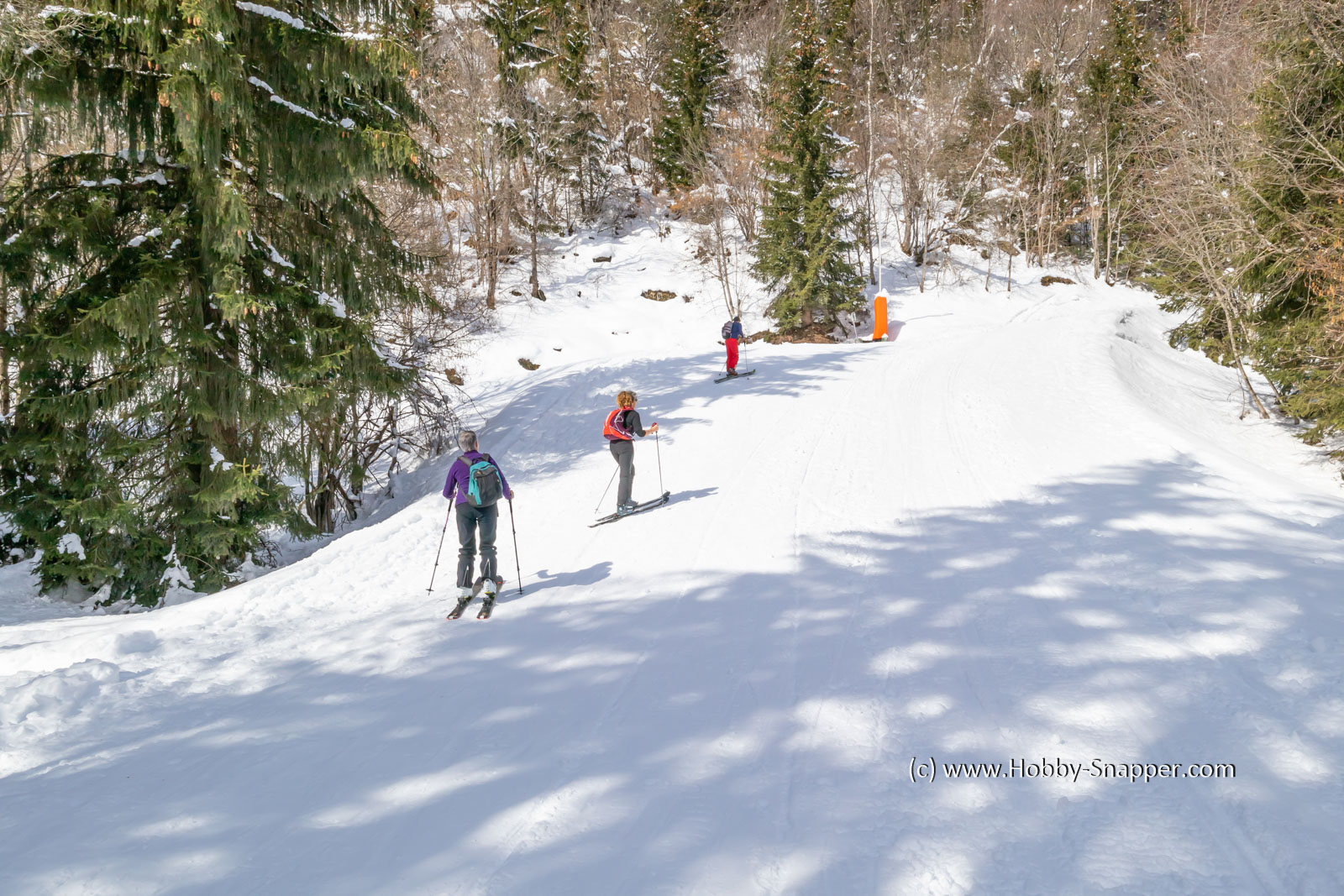 Photo Image Of: Rando skiers