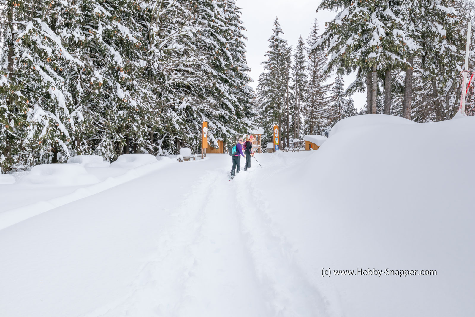 Photo Image Of: Skiing up to Signal