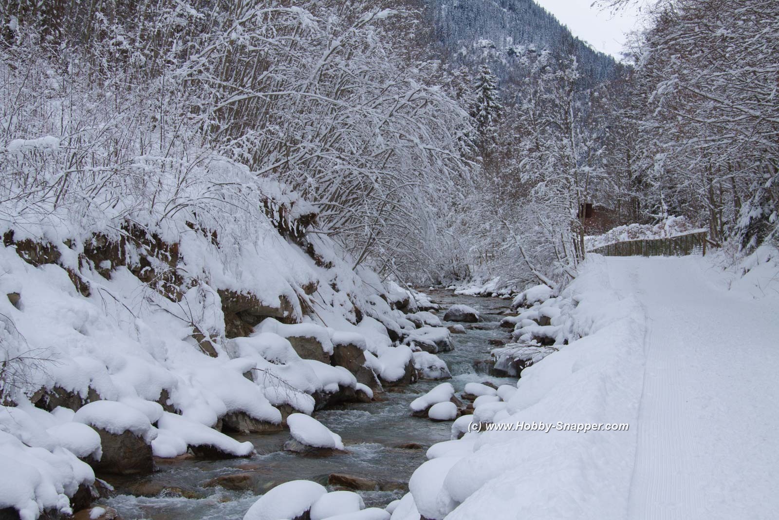 Photo Image Of: Snowy