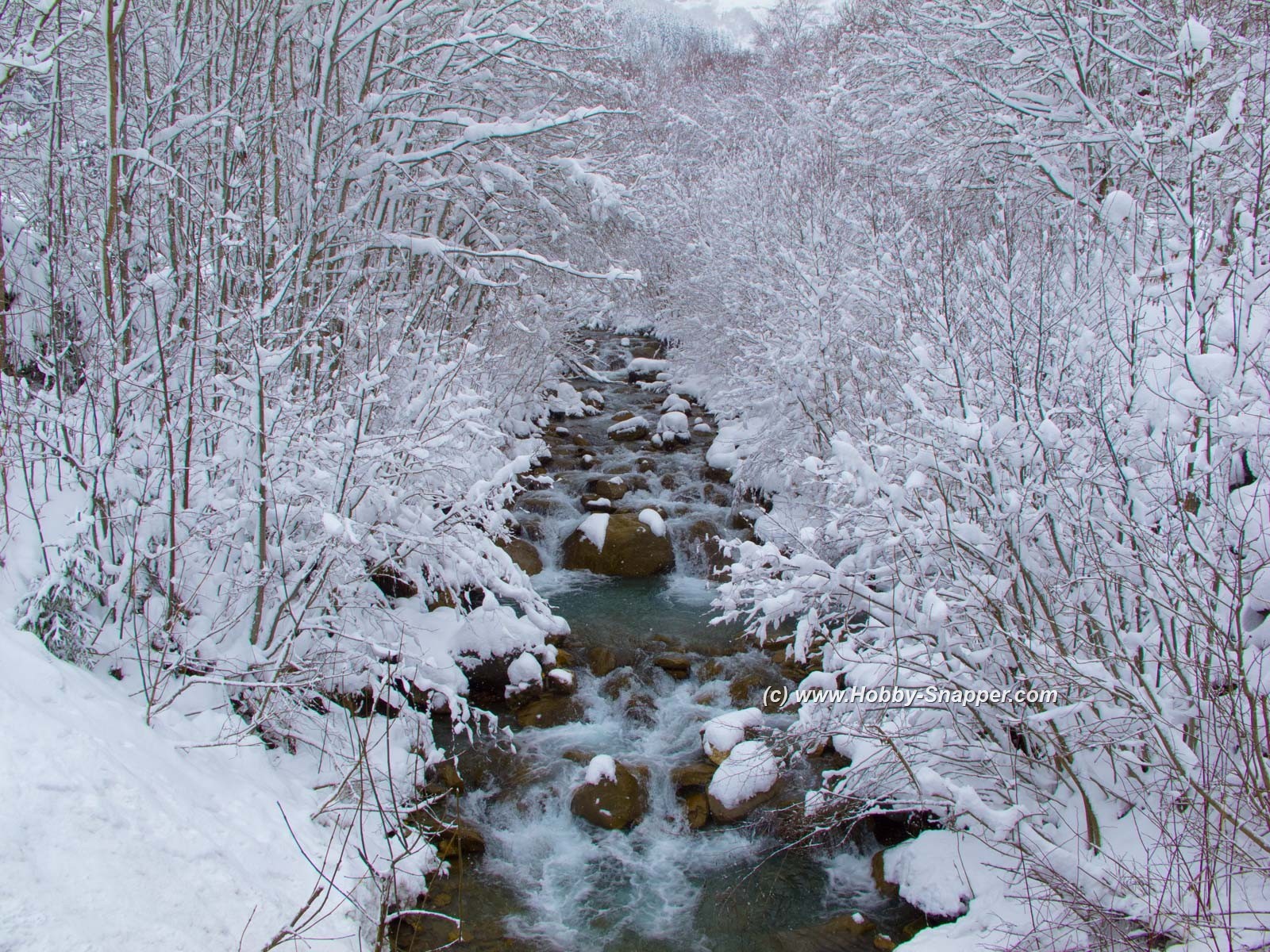 Photo Image Of: Snowy River