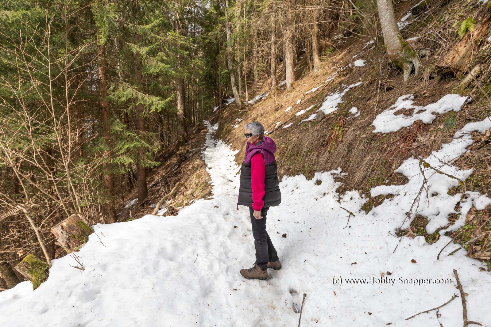 Photo Image Of: Still some snow on the hiking trails