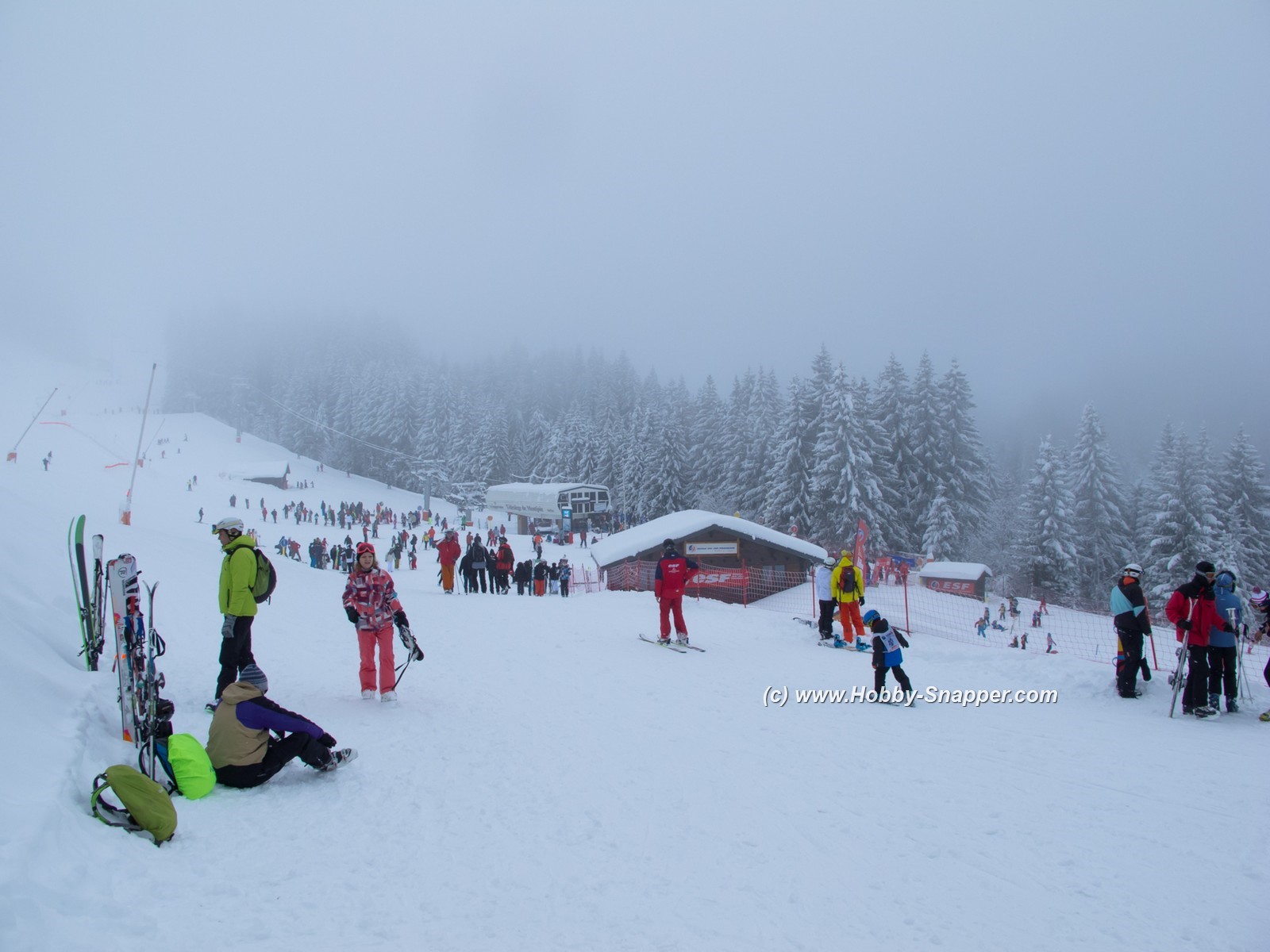 Photo Image Of: The February school holidays