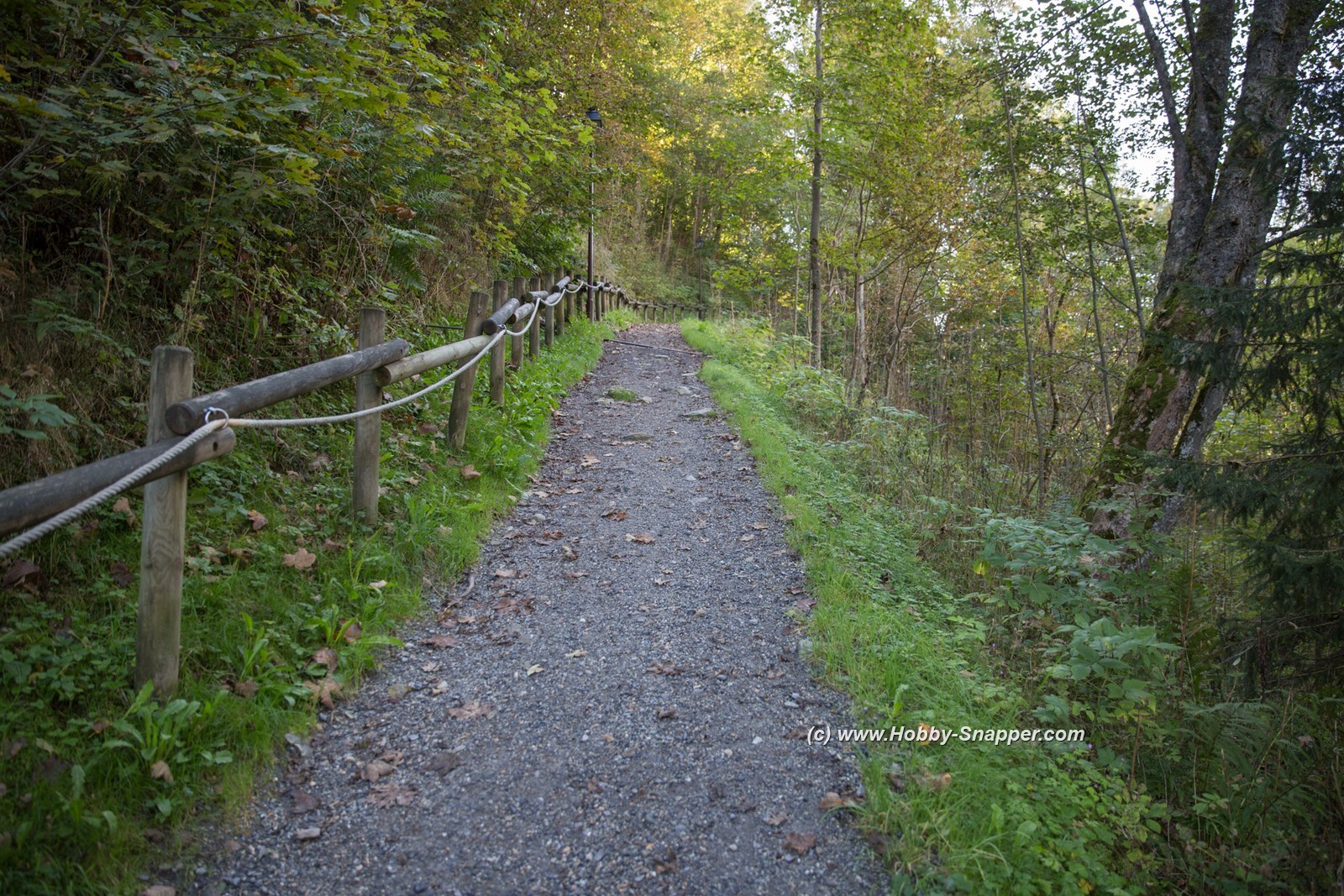 Photo Image Of: The 'Walk of Death'