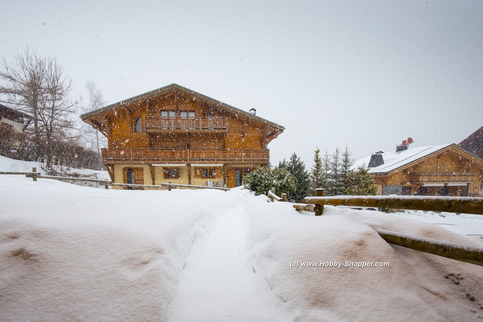 Photo Image Of: The snow is back