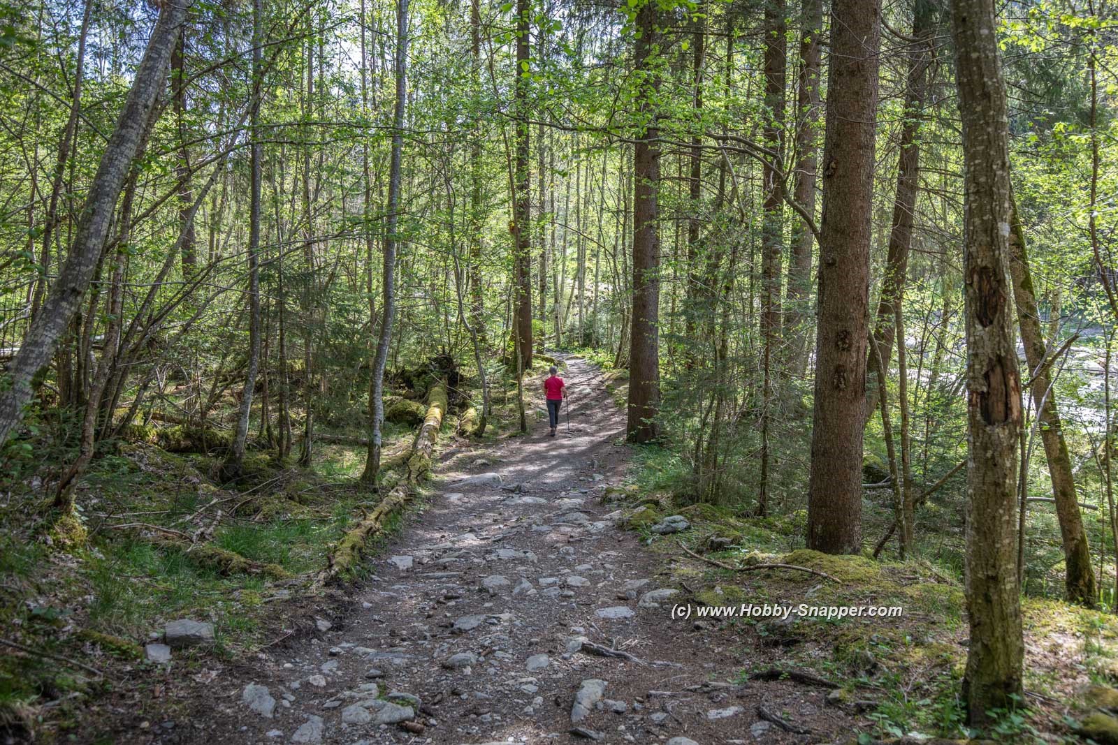 Photo Image Of: Walking in the mountains