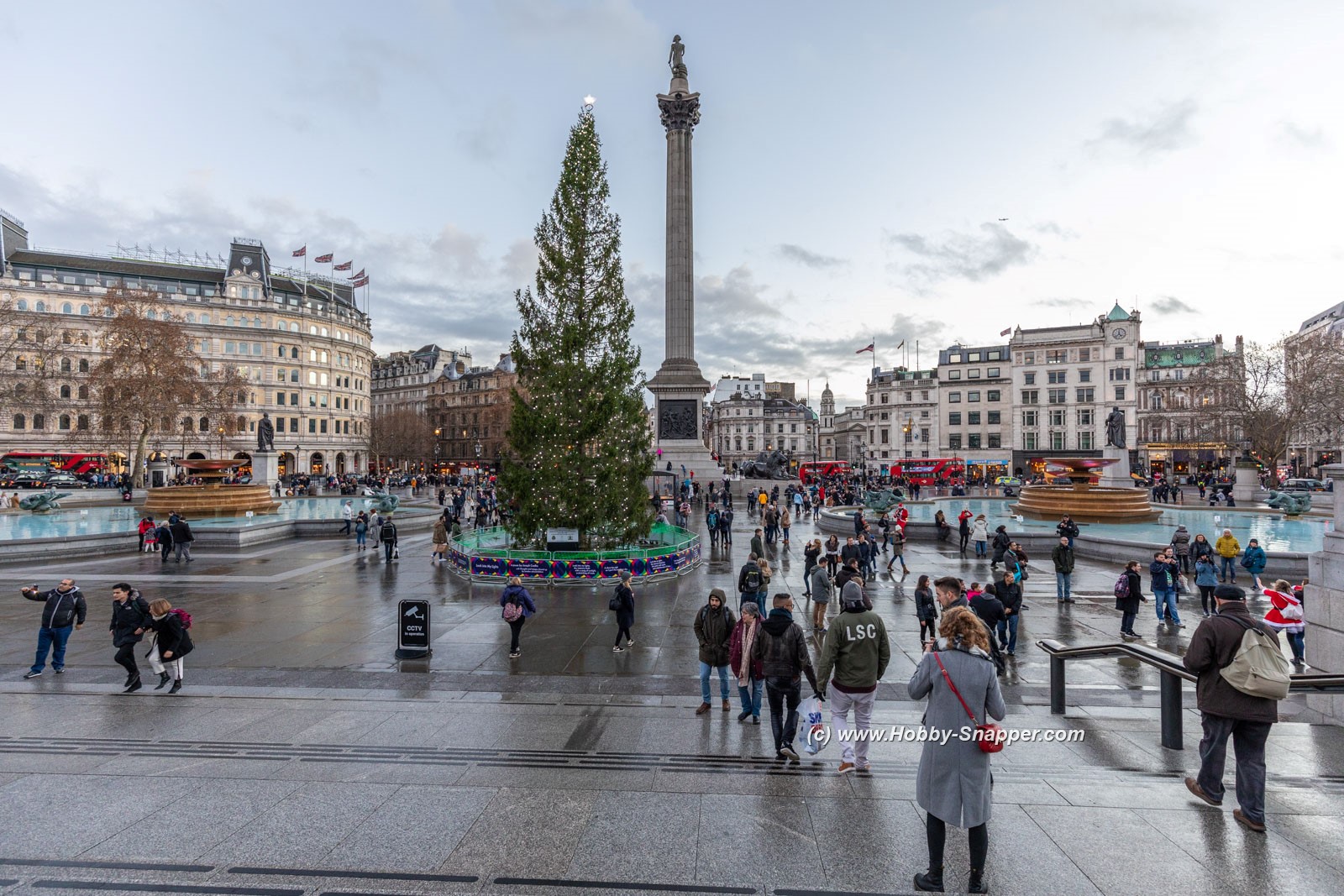 Photo Image Of: Christmas tree at Trafalgar Square