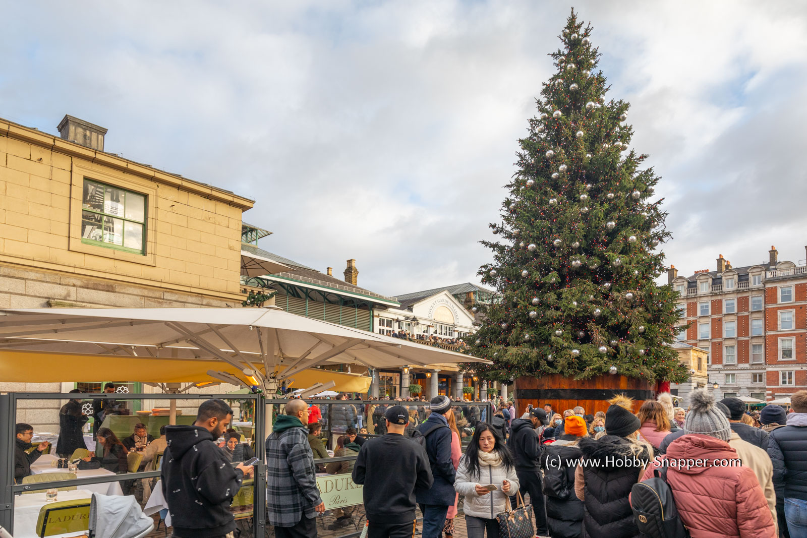 Photo Image Of: Covent Garden Christmas tree