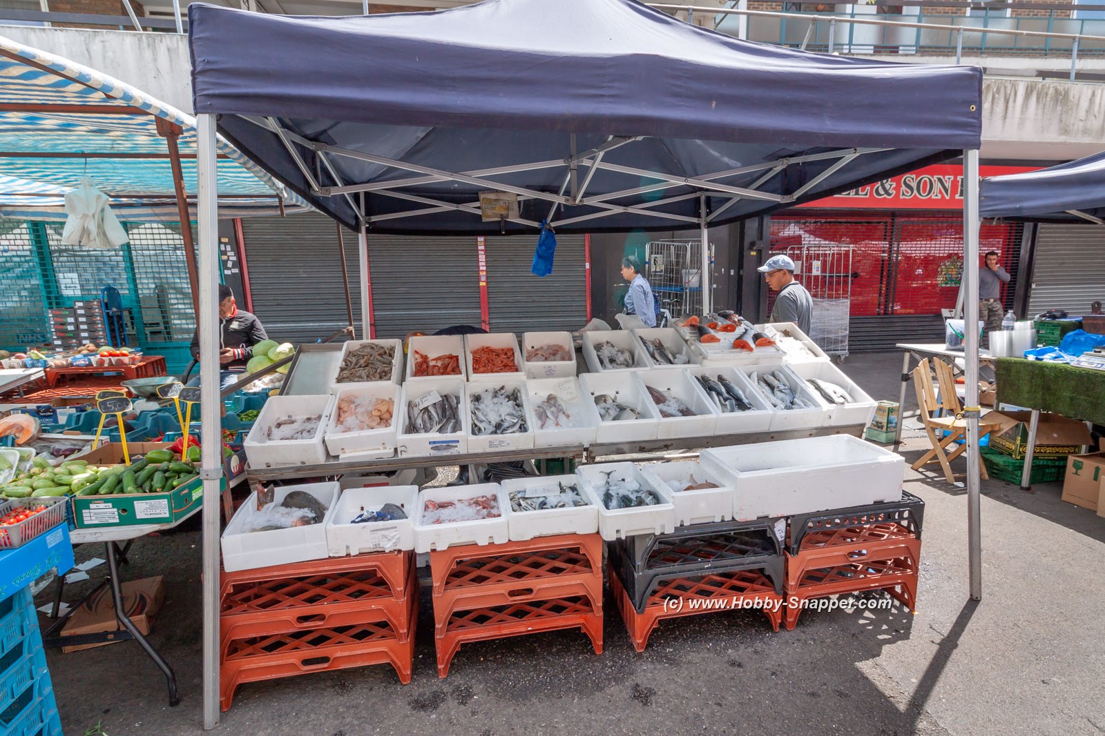 Photo Image Of: Fishmonger