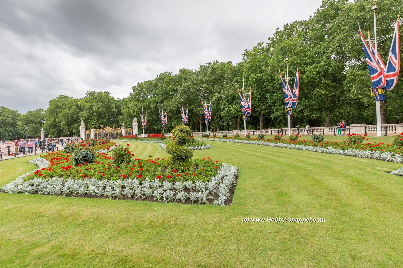 Photo Image Of: Flowers on the Mall