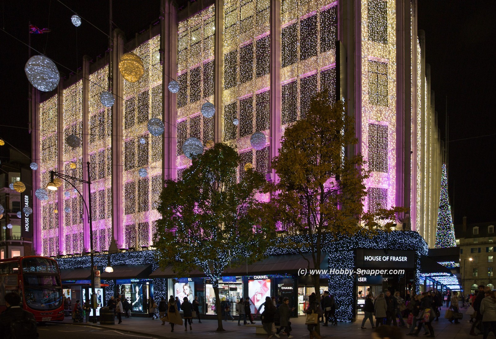 Photo Image Of: House of Fraser Christmas lights