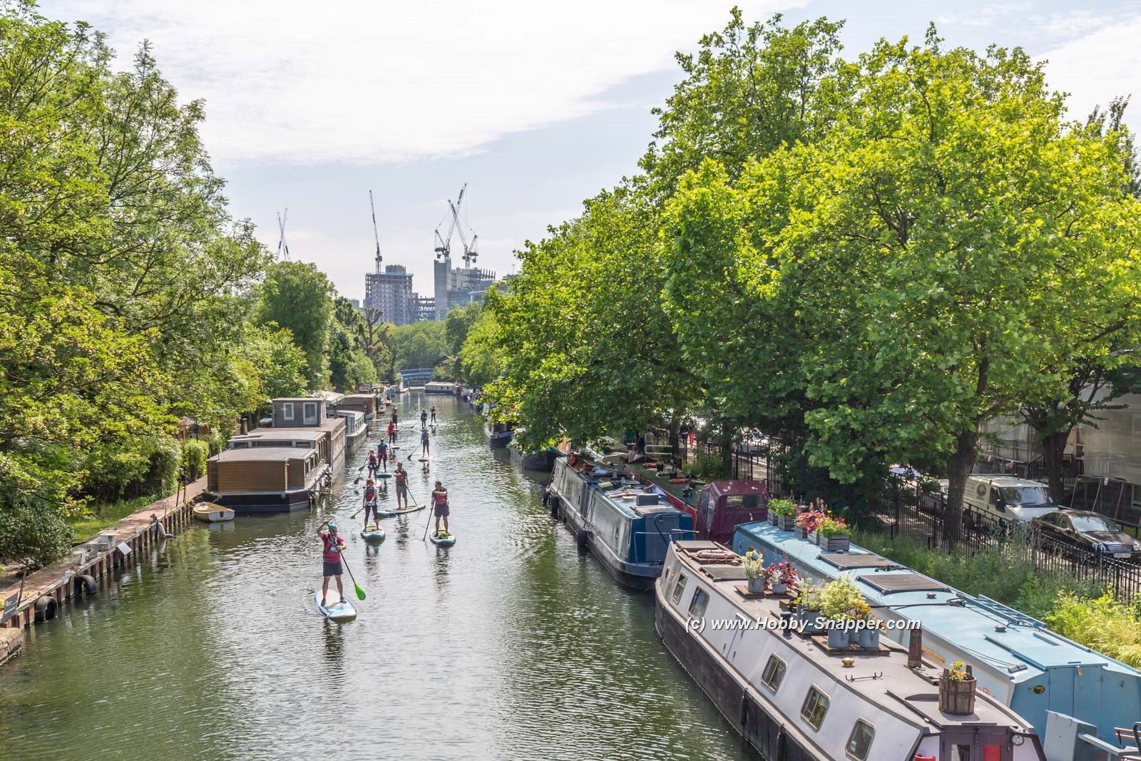 Photo Image Of: Paddle boarders at Little Venice