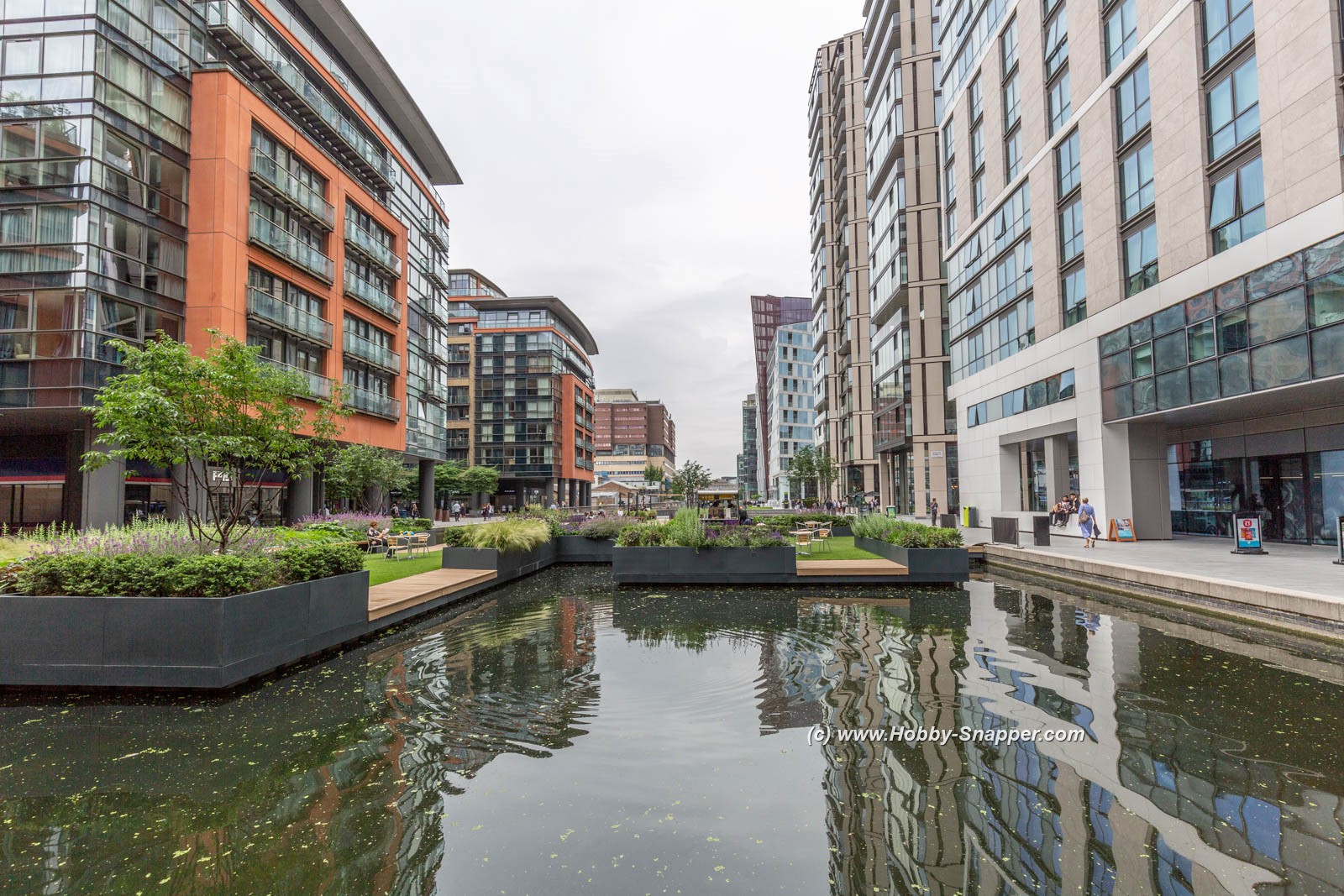 Photo Image Of: The floating gardens are maturing
