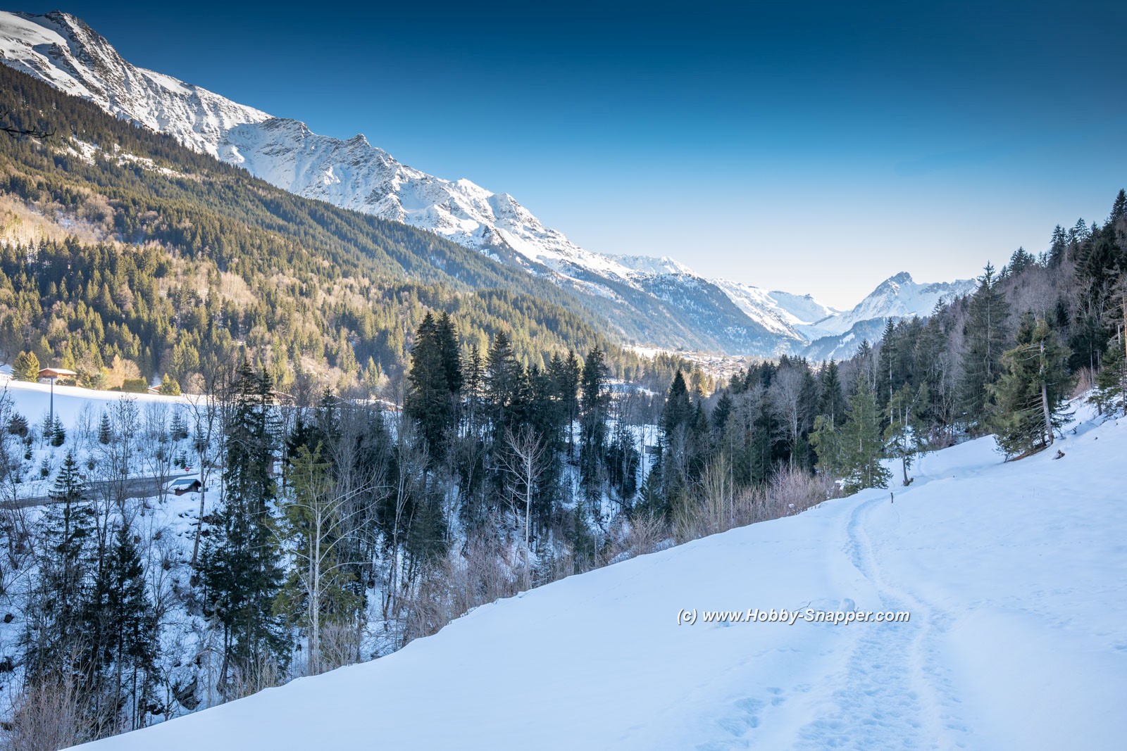 Photo Image Of: Looking south along the valley