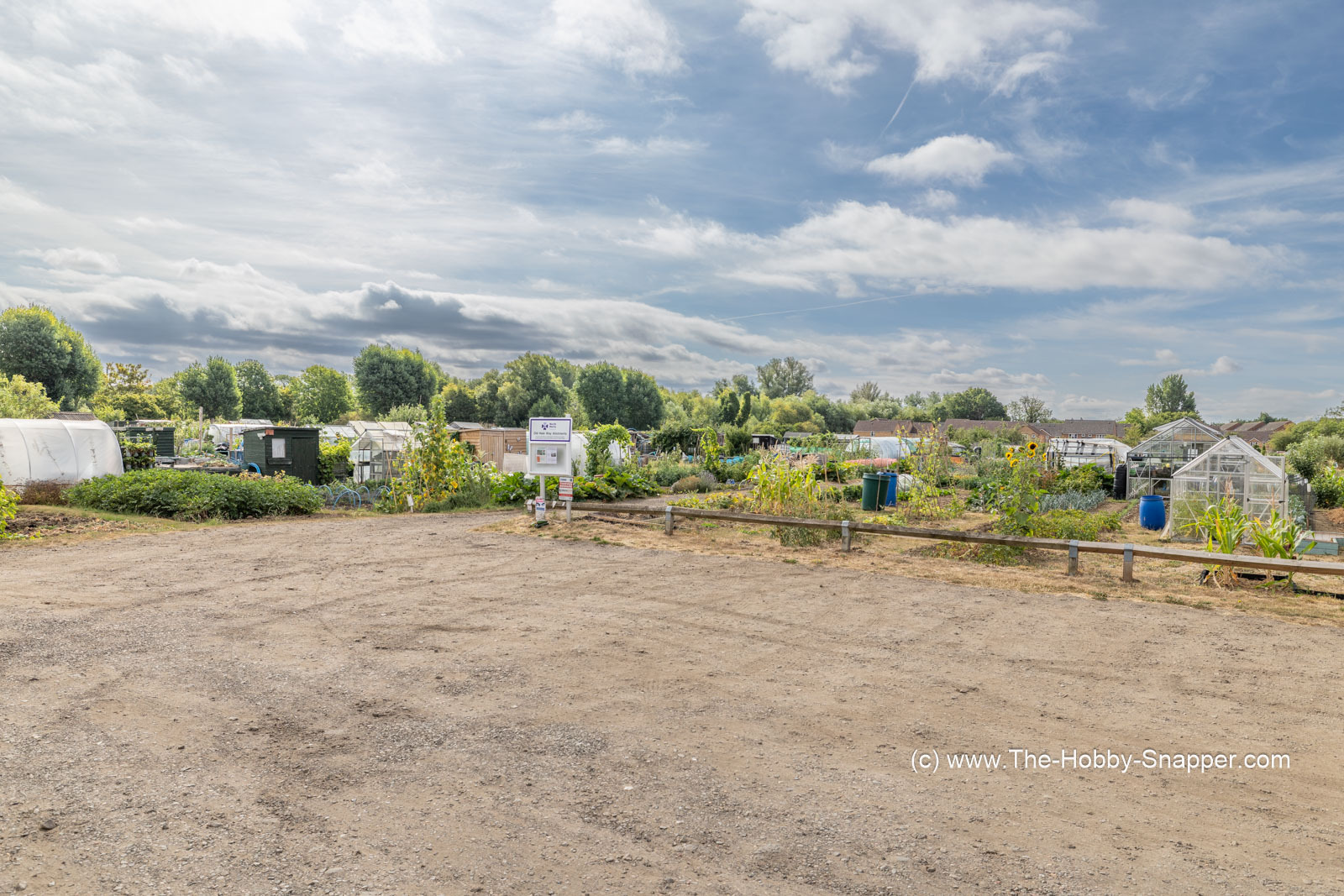 Old Hale Way allotments