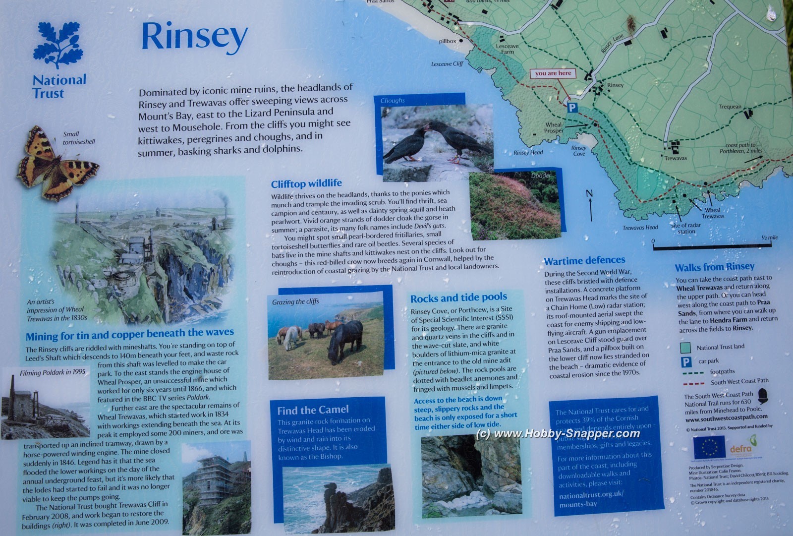 Photo Image Of: Rinsey Cove