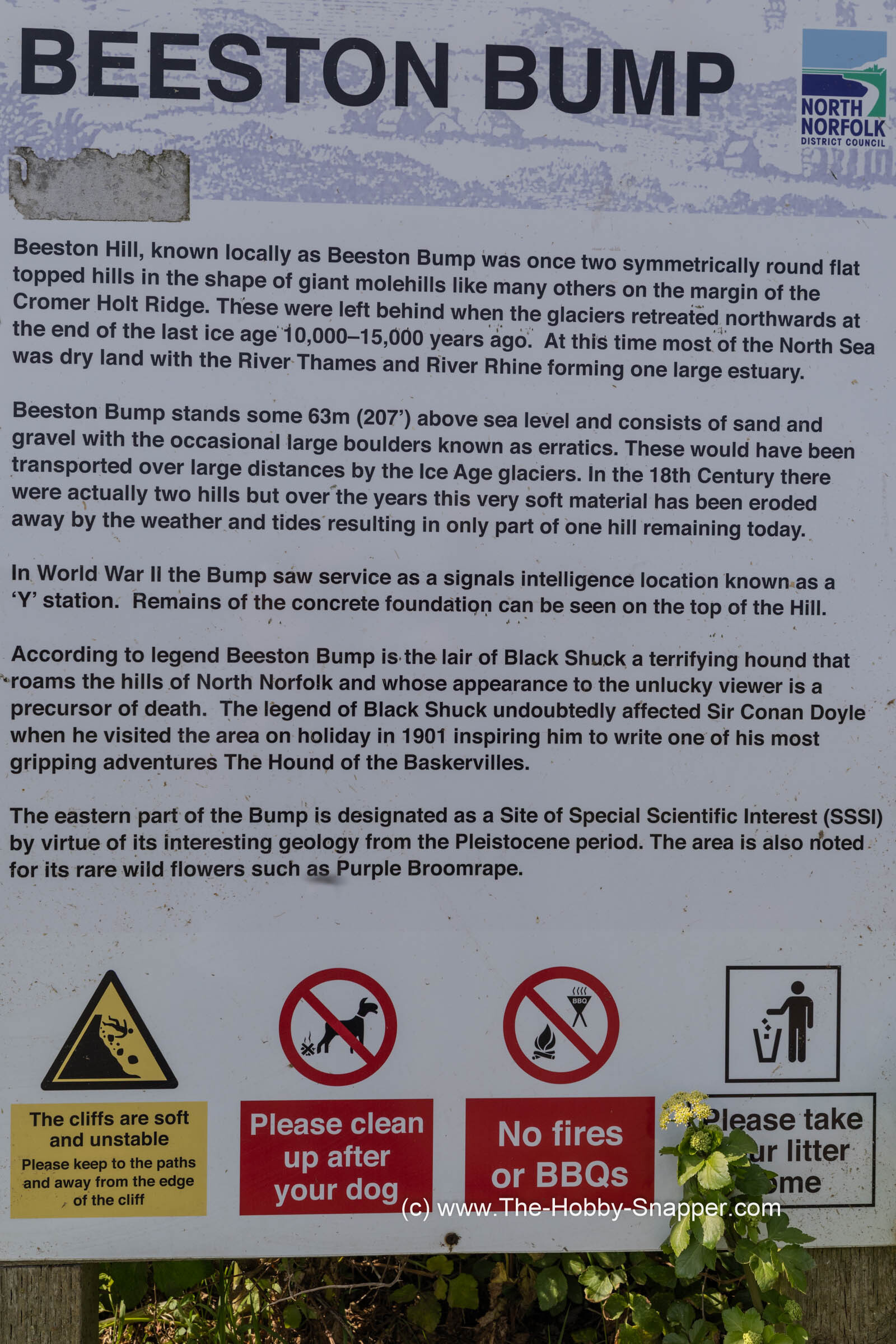 Photo Image Of: The Beeston Bump