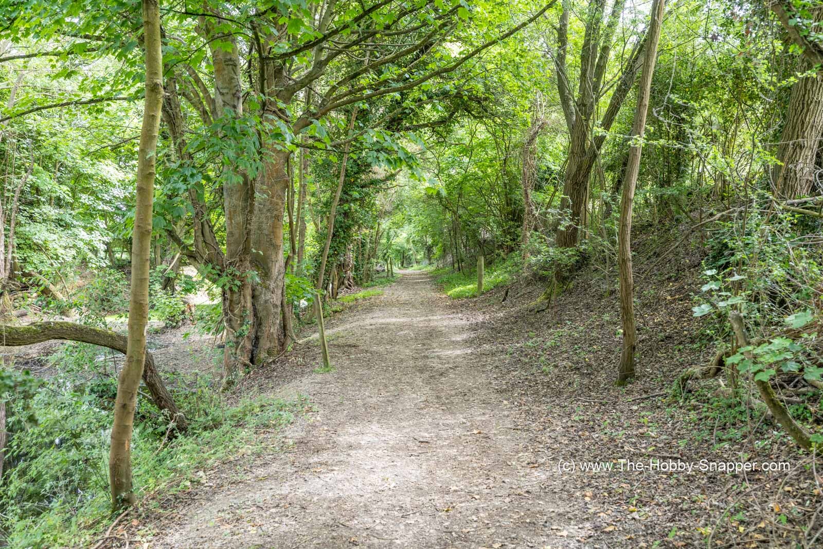 The path by Jerry's Hole