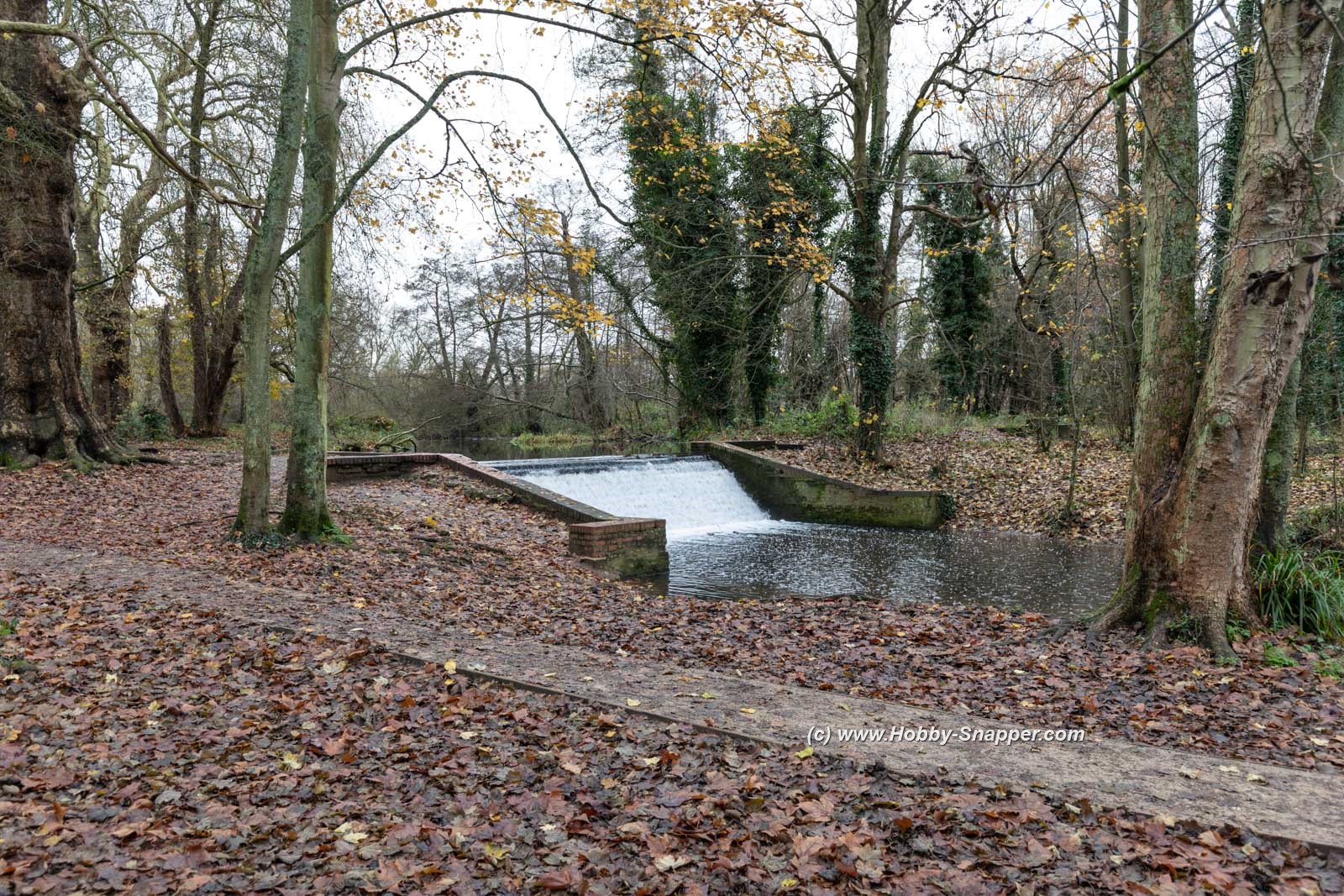 Photo Image Of: Cassiobury Park