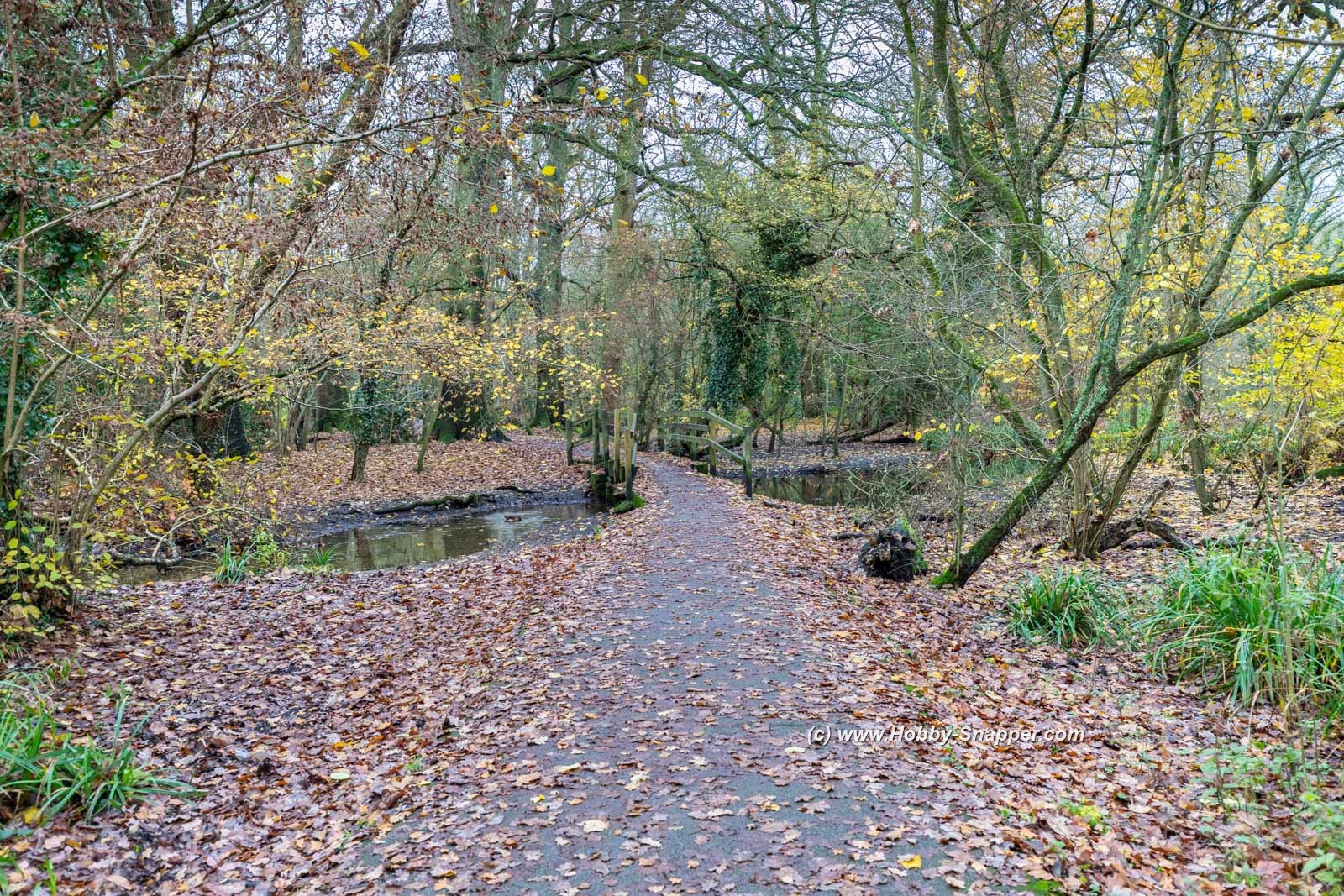 Photo Image Of: Cassiobury Park